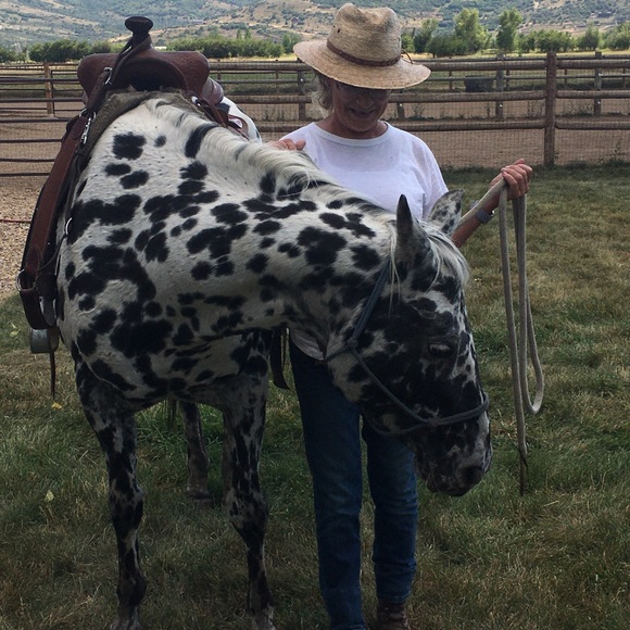 Meet your Posher, Lisa - Picture 4 of 5